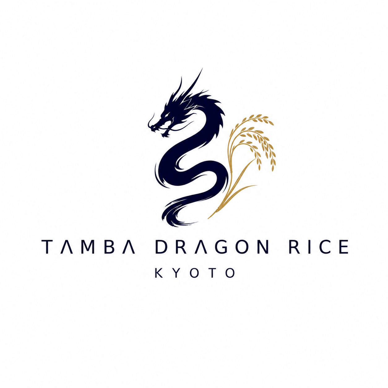 DRAGON RICE